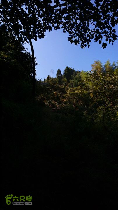 岭山古道IMAG4349