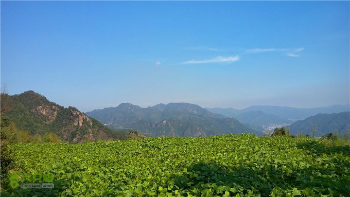 岭山古道IMAG4352