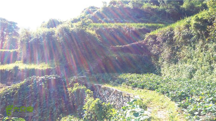 岭山古道IMAG4353