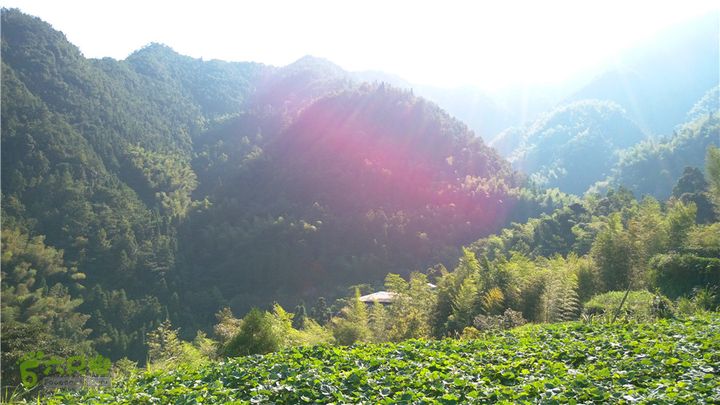 岭山古道IMAG4357