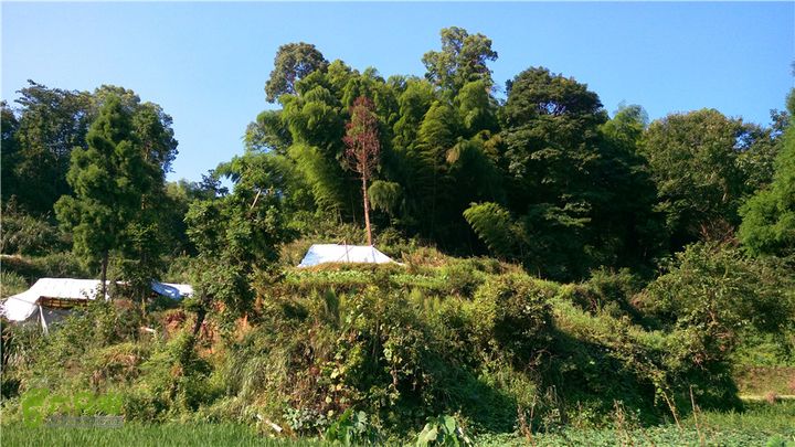 岭山古道IMAG4359