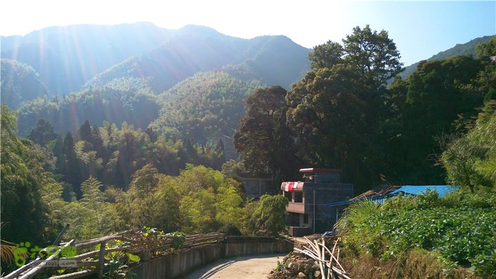 岭山古道IMAG4362