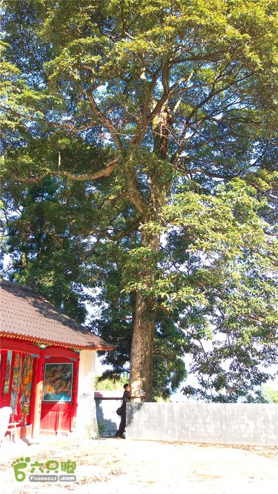 岭山古道IMAG4371