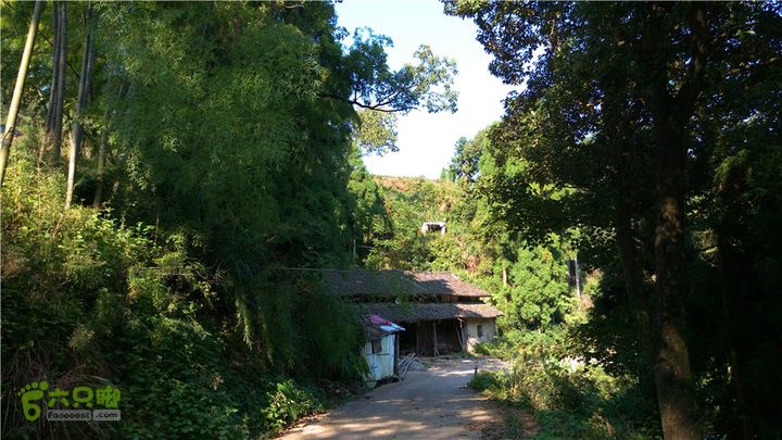 岭山古道IMAG4374