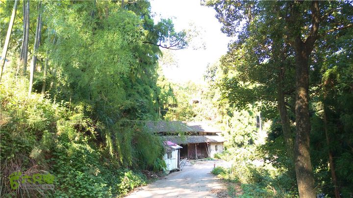 岭山古道IMAG4375