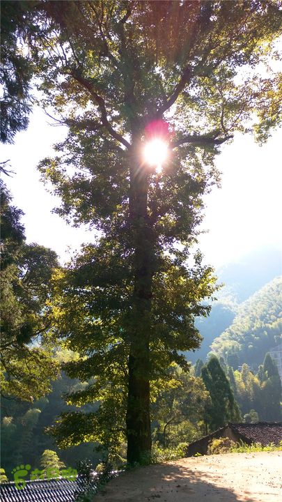 岭山古道IMAG4377