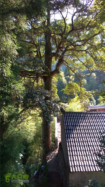 岭山古道IMAG4378