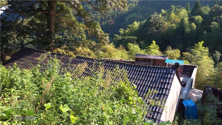 岭山古道IMAG4379