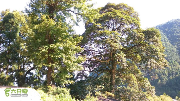 岭山古道IMAG4381