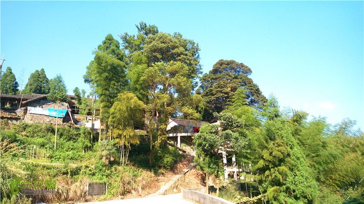 岭山古道IMAG4388