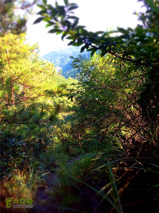 岭山古道IMG_1396