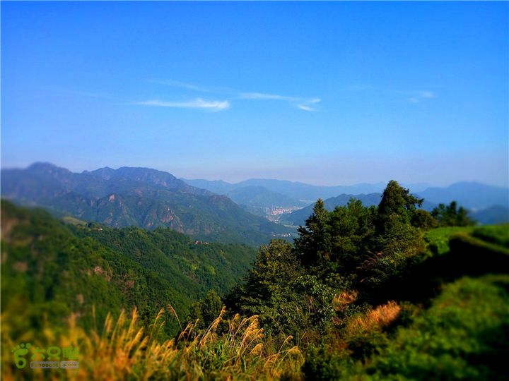 岭山古道IMG_1399