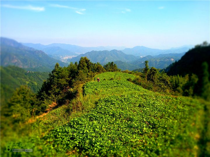 岭山古道IMG_1401