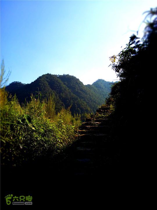 岭山古道IMG_1403