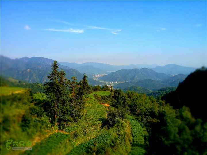 岭山古道IMG_1404