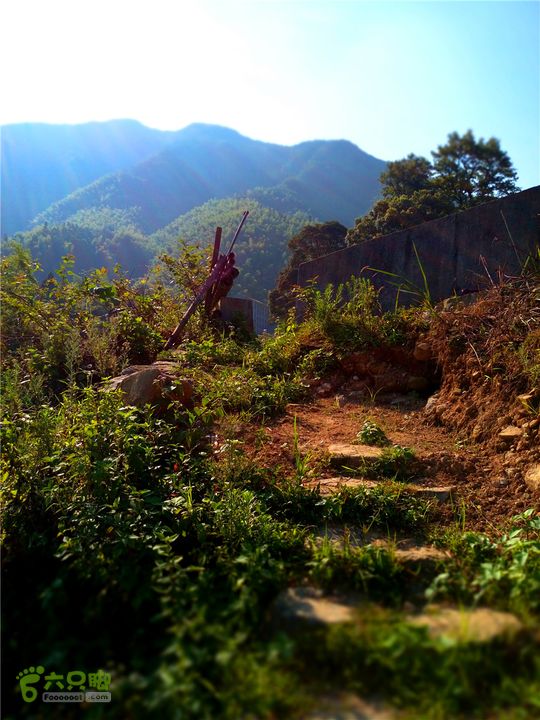 岭山古道IMG_1405