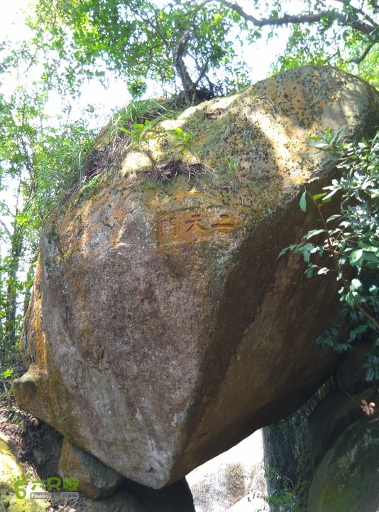  小白IMG_20150816_122546