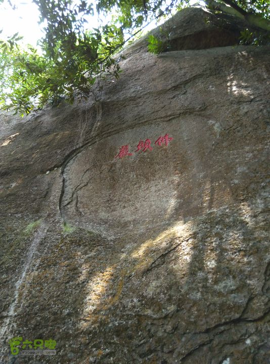  小白IMG_20150816_123330