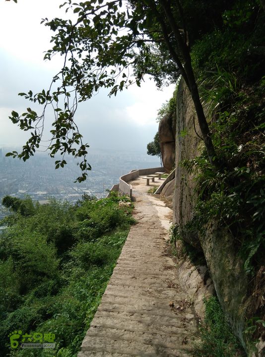  小白IMG_20150816_143217