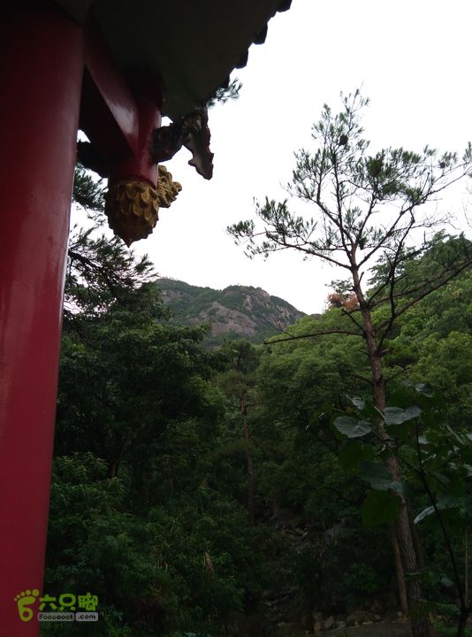  小白IMG_20150816_155204