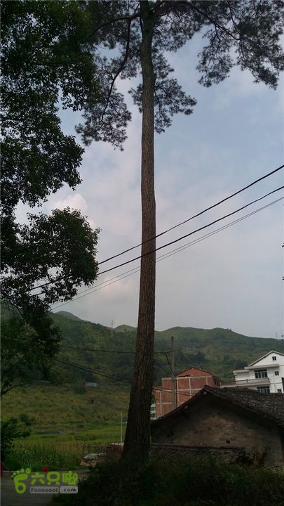 鹤嘴口岭古道IMAG4802