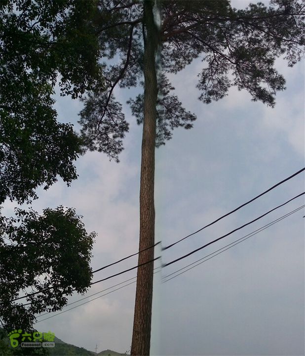 鹤嘴口岭古道IMAG4804