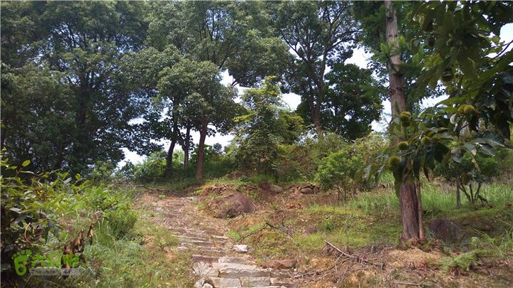 鹤嘴口岭古道IMAG4823