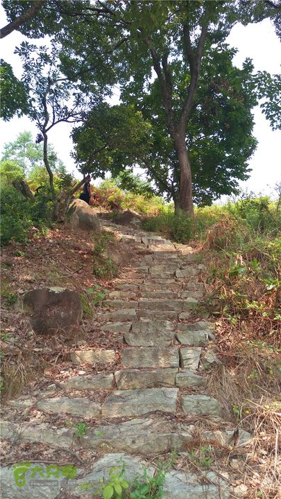 鹤嘴口岭古道IMAG4824