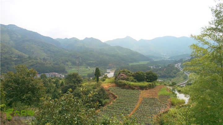 鹤嘴口岭古道IMAG4826