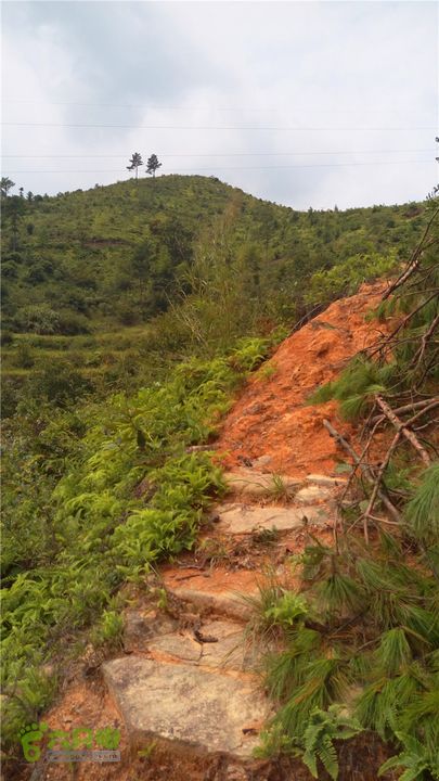 鹤嘴口岭古道IMAG4828