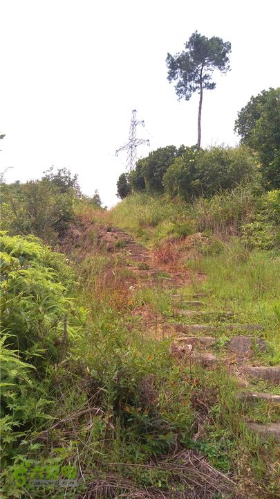 鹤嘴口岭古道IMAG4829