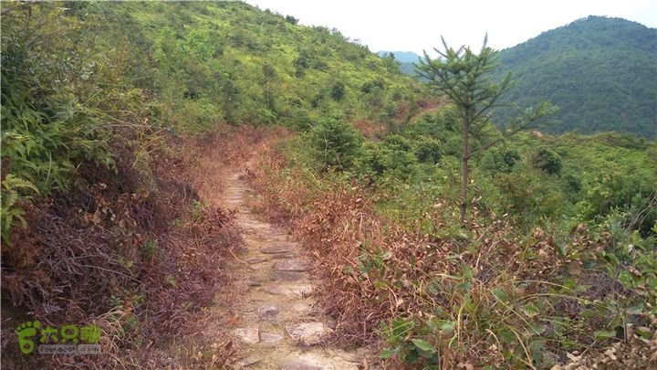 鹤嘴口岭古道IMAG4833