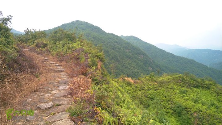 鹤嘴口岭古道IMAG4835