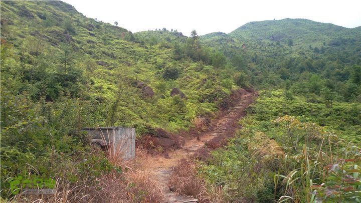 鹤嘴口岭古道IMAG4836