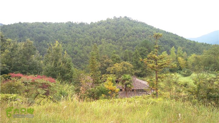 鹤嘴口岭古道IMAG4839