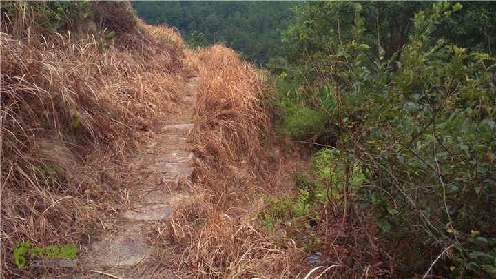 鹤嘴口岭古道IMAG4840