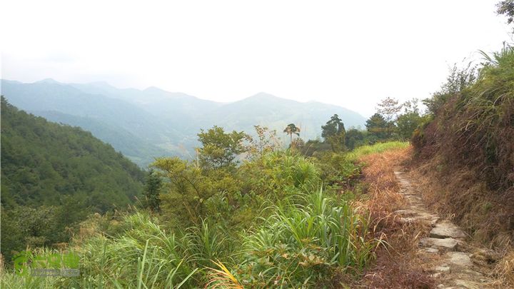 鹤嘴口岭古道IMAG4842