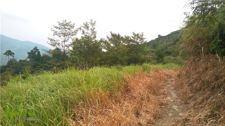 鹤嘴口岭古道IMAG4843