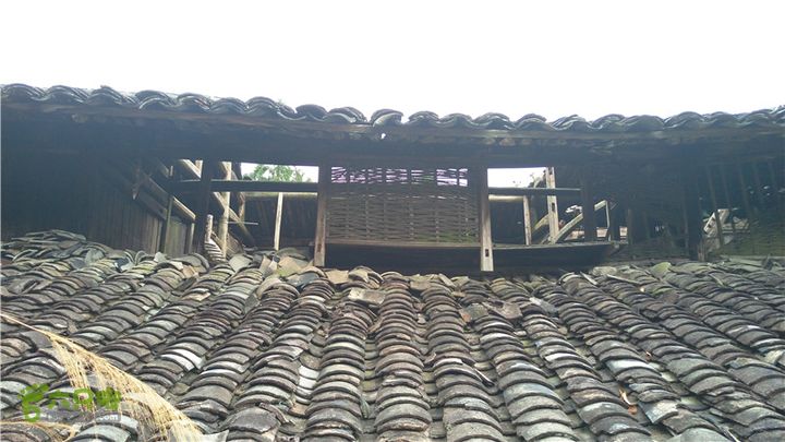 鹤嘴口岭古道IMAG4845