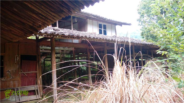 鹤嘴口岭古道IMAG4847