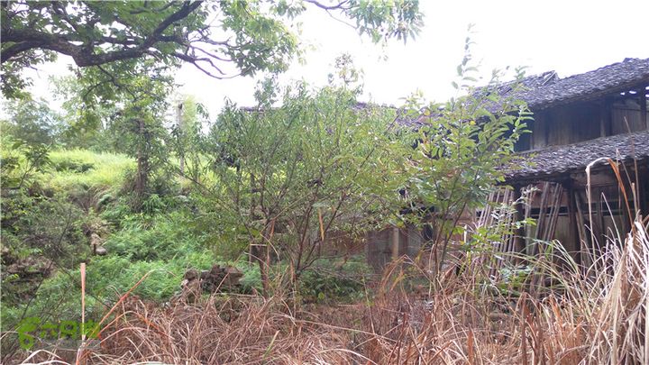 鹤嘴口岭古道IMAG4848