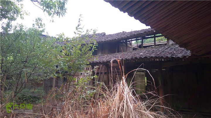 鹤嘴口岭古道IMAG4849