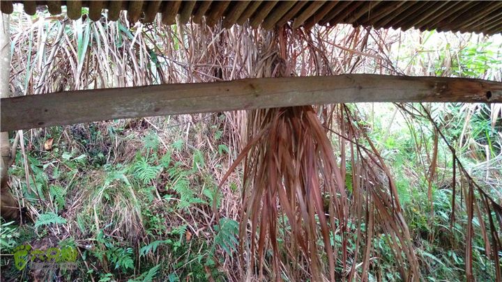 鹤嘴口岭古道IMAG4852