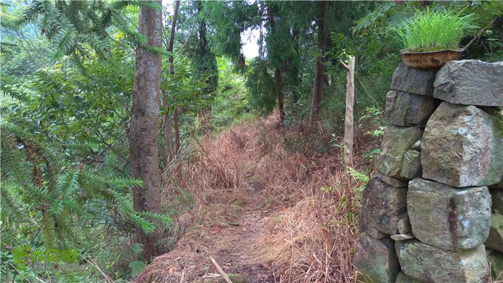 鹤嘴口岭古道IMAG4853