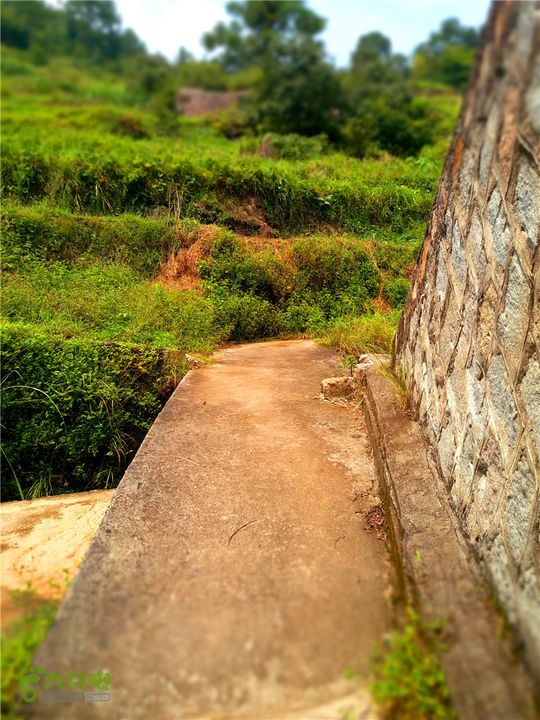 鹤嘴口岭古道IMG_1680