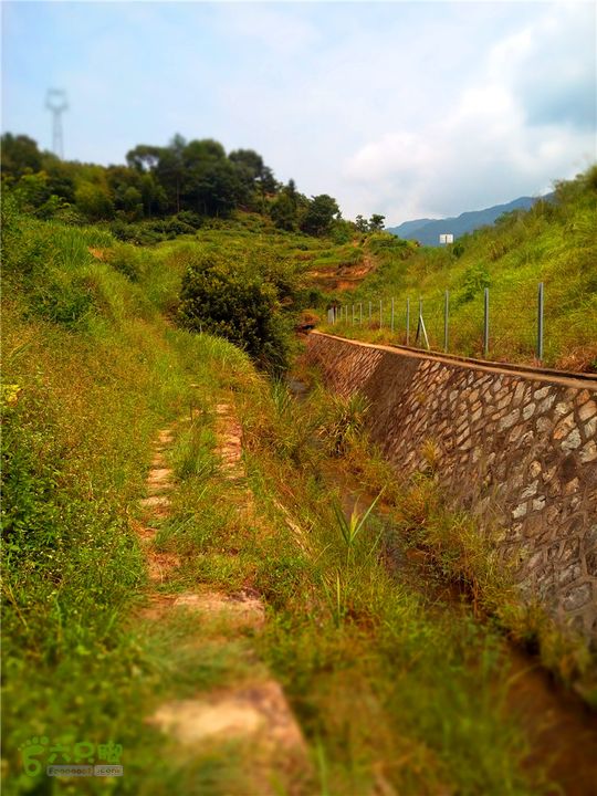 鹤嘴口岭古道IMG_1682