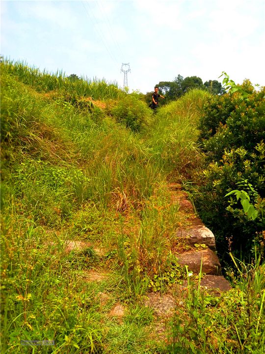 鹤嘴口岭古道IMG_1683