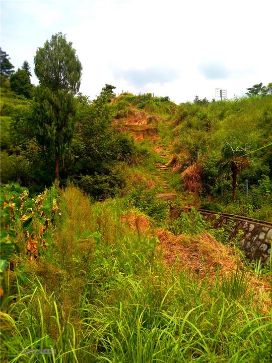 鹤嘴口岭古道IMG_1685