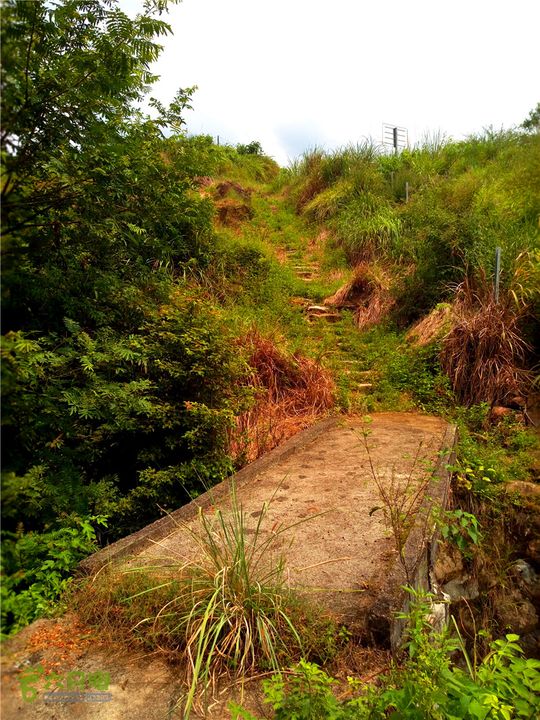 鹤嘴口岭古道IMG_1686