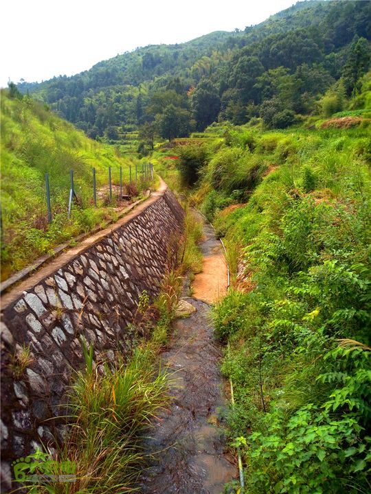 鹤嘴口岭古道IMG_1687